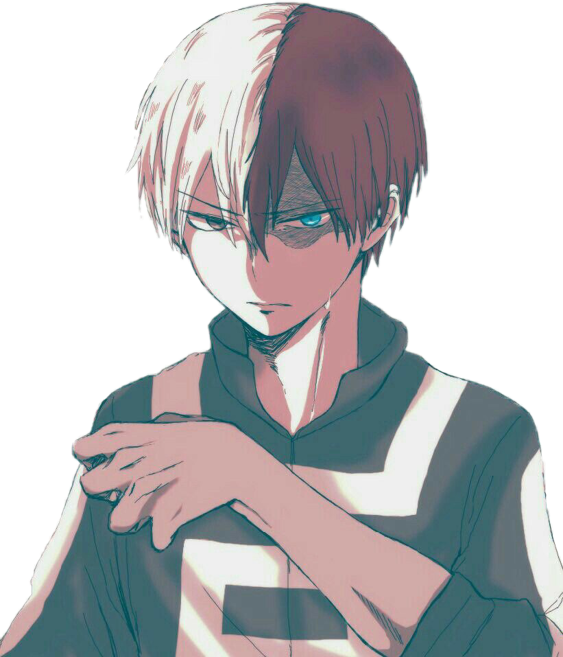 Todoroki Halfand Half Hero