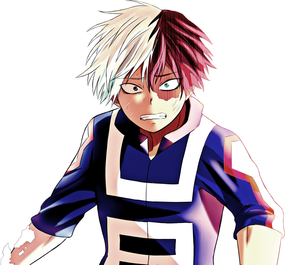 Todoroki Shoto Half Cold Half Hot