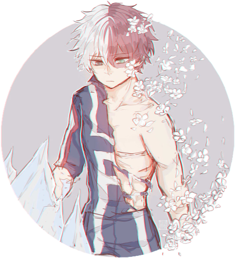 Todoroki Shoto Sakura Flourish