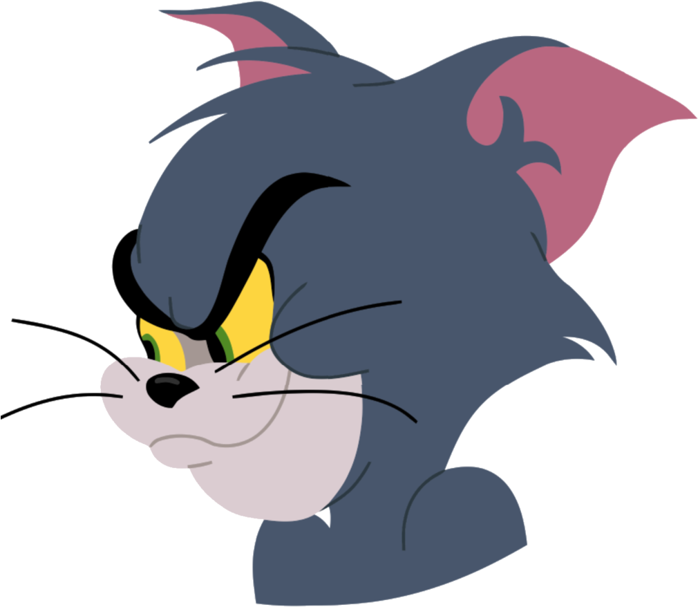 Tom Face - Tom And Jerry Tom Face Png, Transparent Png PNG with transparent background