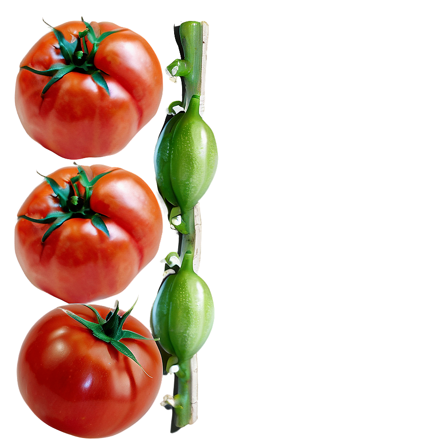 Tomatoes On Wooden Surface Png 61