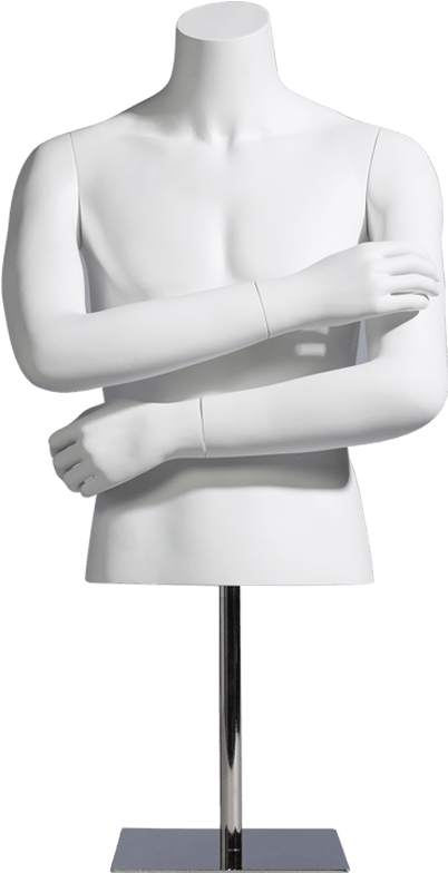 Half Mannequin / Male / Mcmf M0600 Half - Mannequin, HD Png Download PNG with transparent background