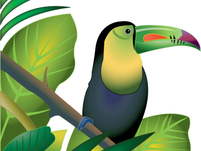 Toucan Amongst Green Leaves