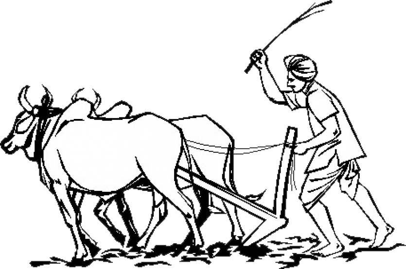 Traditional Farming Plowing Illustration