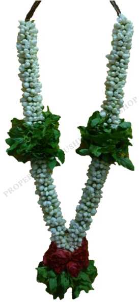 Jasmine Garland Png Free Download - Garland Png Free Download, Transparent Png PNG with transparent background