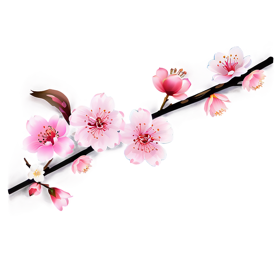 Traditional Japanese Cherry Blossom PNG amx59 PNG with transparent background