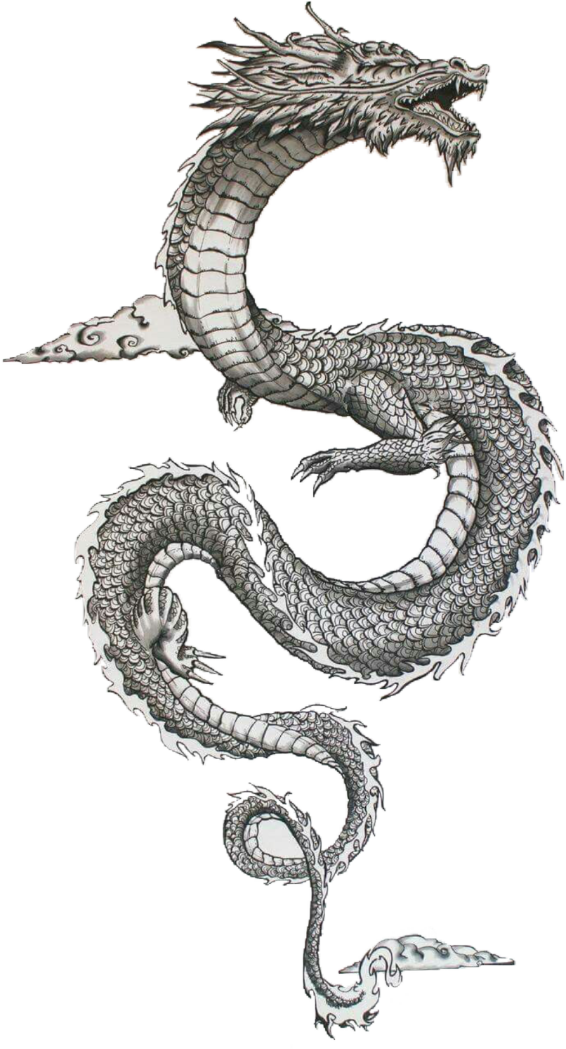 #traditional #japanese #dragon #freetoedit - Traditional Ancient Japanese Dragons, HD Png Download PNG with transparent background