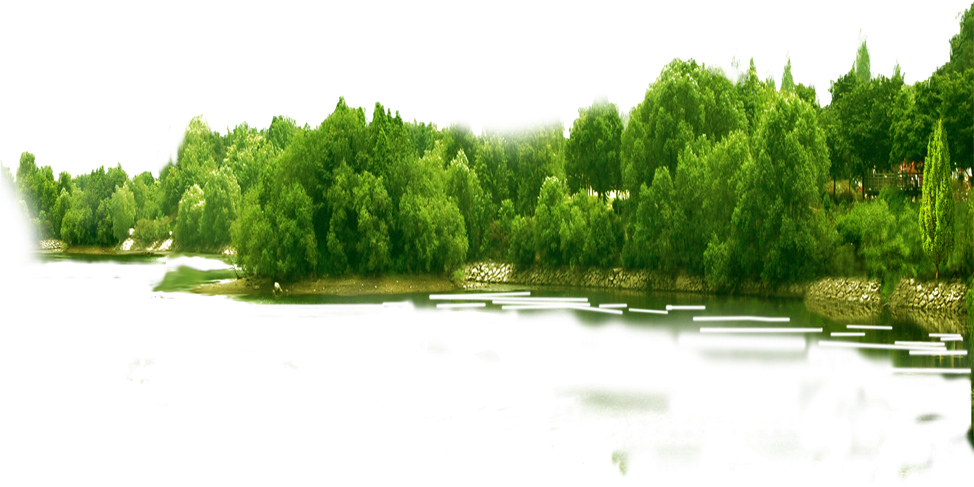 Tranquil Lake Greenery Panorama