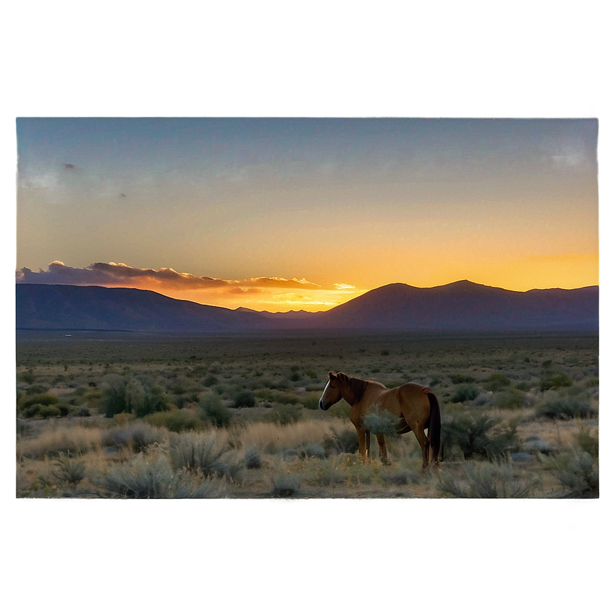 Tranquil Mustang Horse Sunrise Png Osm85