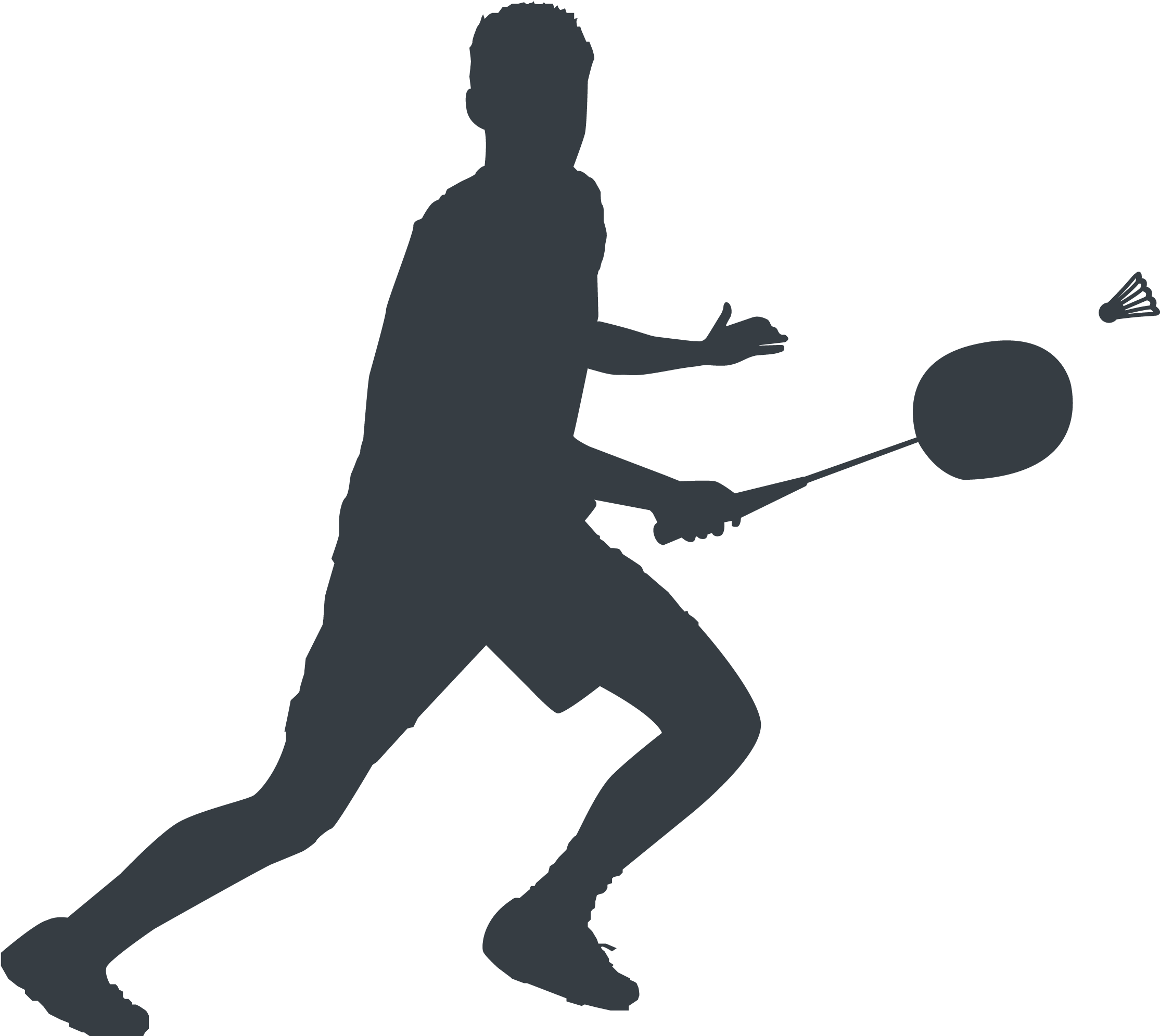 Transparent Background Badminton Png, Png Download PNG with transparent background