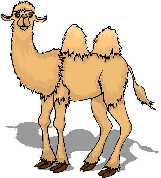 Transparent Background Cartoon Camel Png, Png Download PNG with transparent background