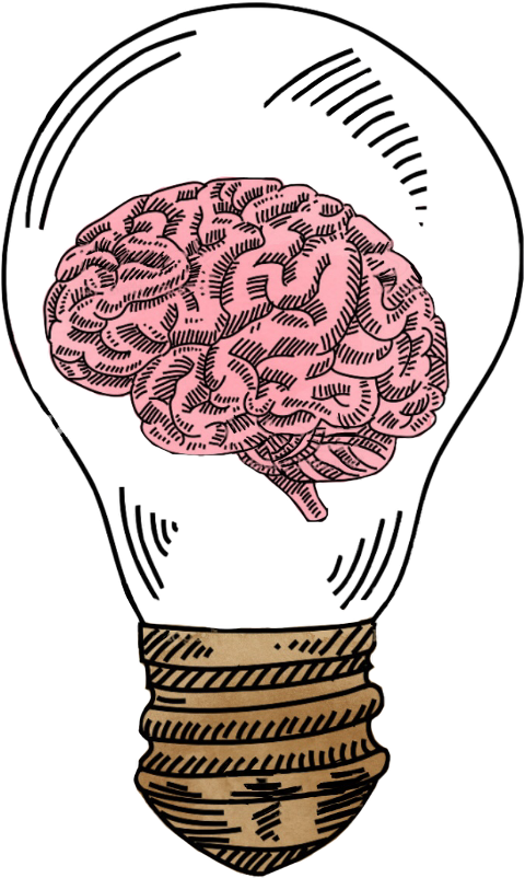 Transparent Brain Surgery Clipart - Brain Drawing Cartoon Png, Png Download PNG with transparent background
