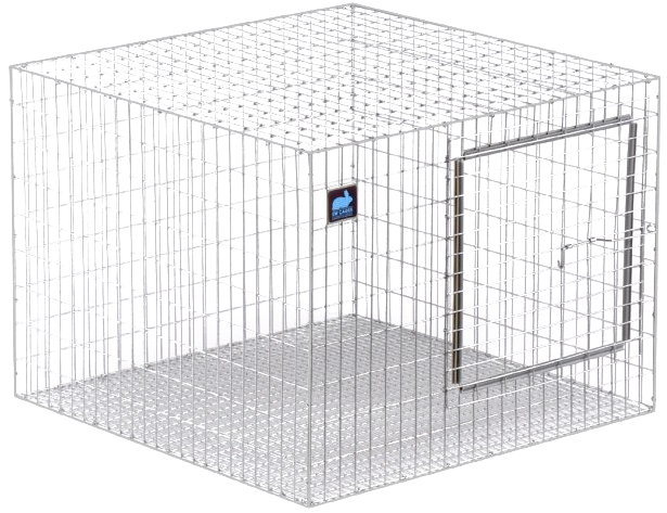 Transparent Cage Structure