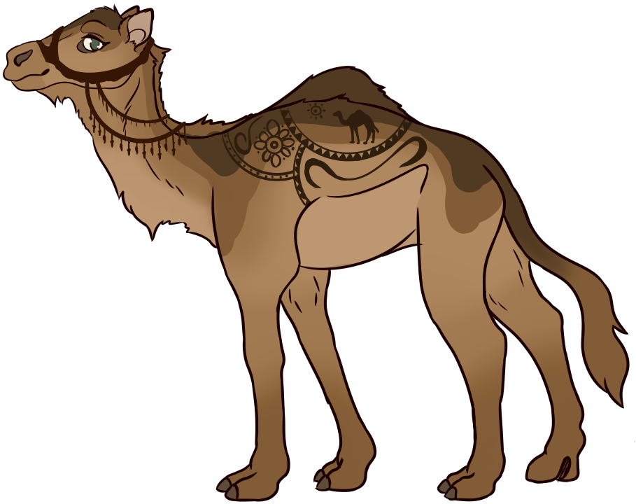 Transparent Camel Clipart Png - Arabian Camel, Png Download PNG with transparent background