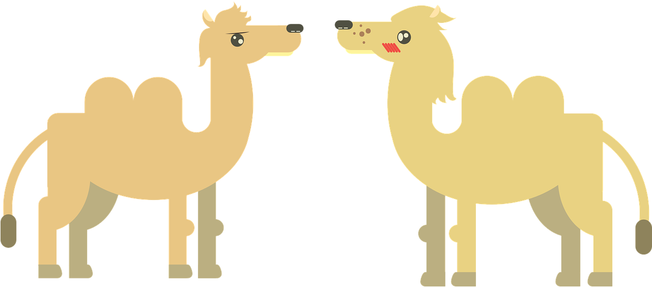 Transparent Camel Clipart Png - อูฐ การ์ตูน Gif, Png Download PNG with transparent background