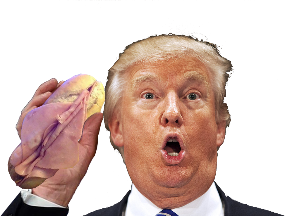 Transparent Donald Trump Head Png - Trump Stupid Face, Png Download PNG with transparent background