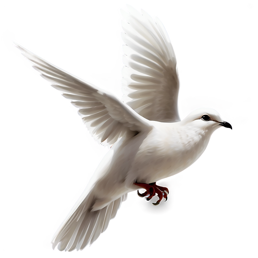 Transparent Dove Clipart Png Rxj