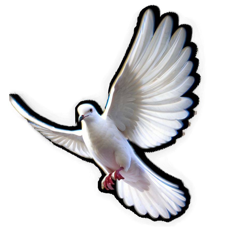 Transparent Dove Png Ujy