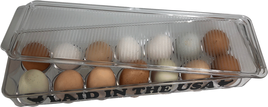 Transparent Egg Carton U S A