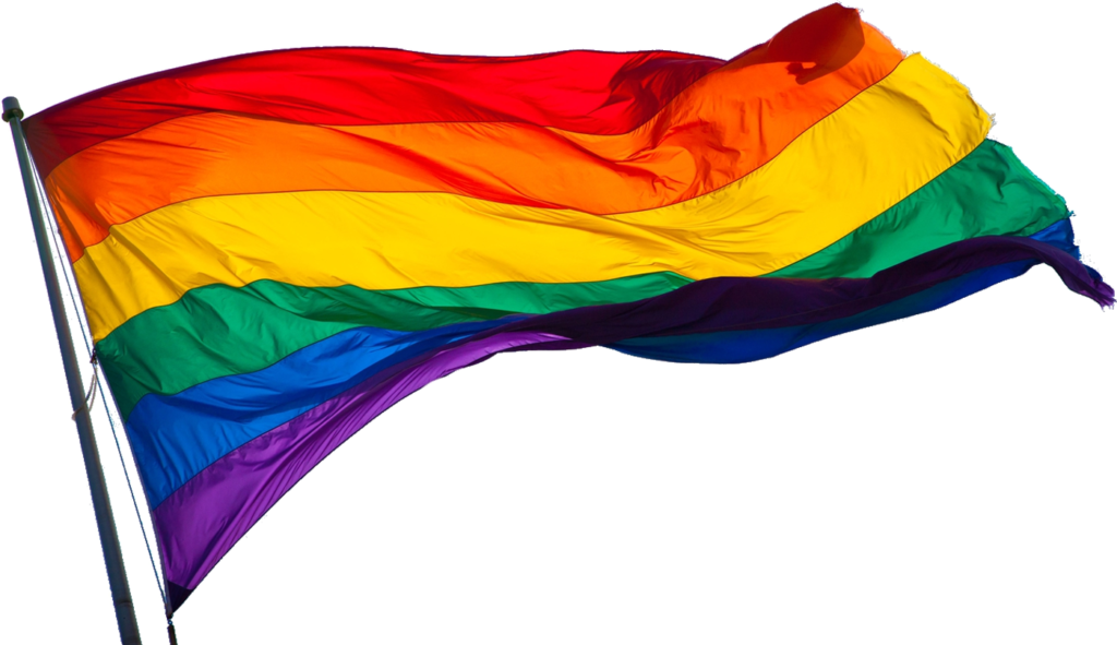 Transparent Gay Pride Flag Png, Png Download PNG with transparent background