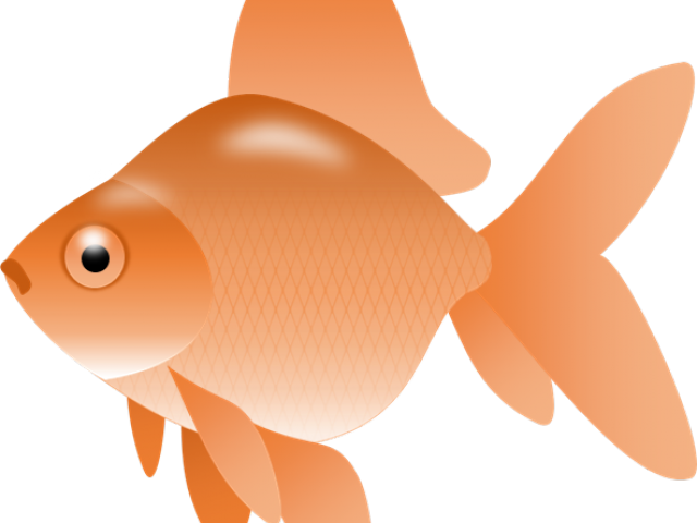 Transparent Goldfish Snack Png - Transparent Goldfish Clipart, Png Download PNG with transparent background