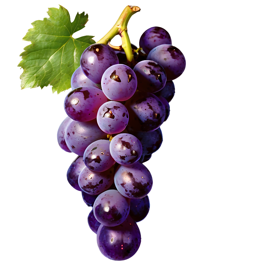 Transparent Grape Png 05212024