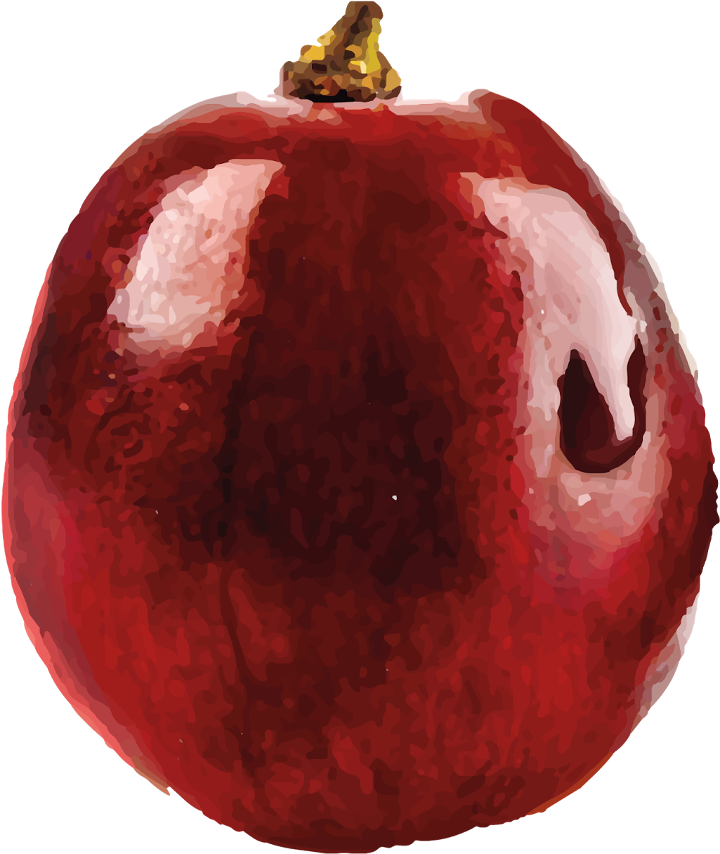 Transparent Grape Png - Single Grape Transparent, Png Download PNG with transparent background