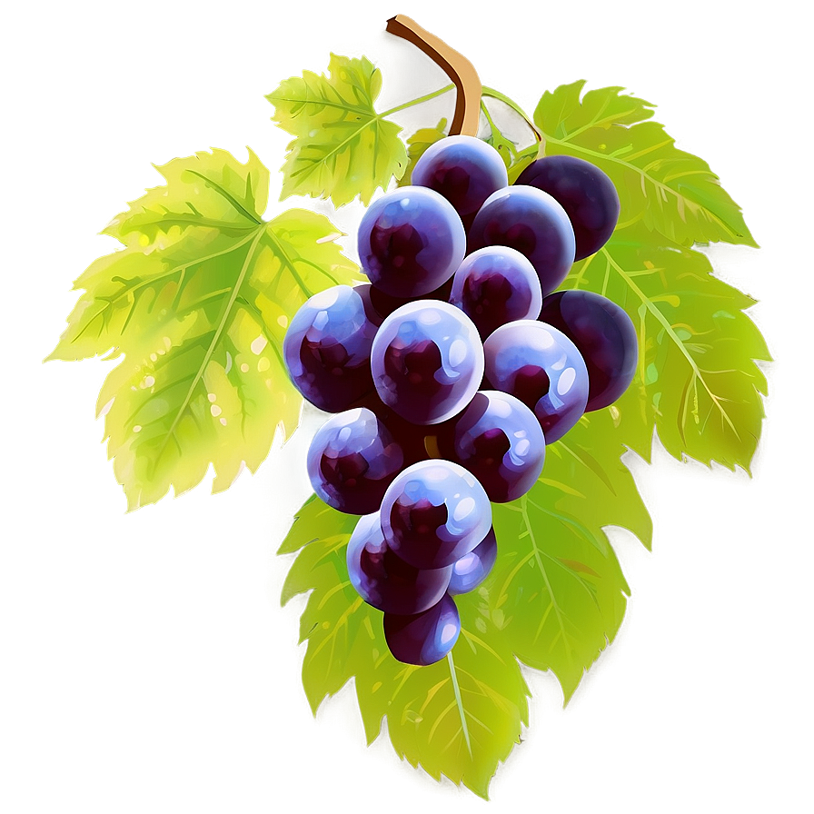 Transparent Grapes Png Kja37