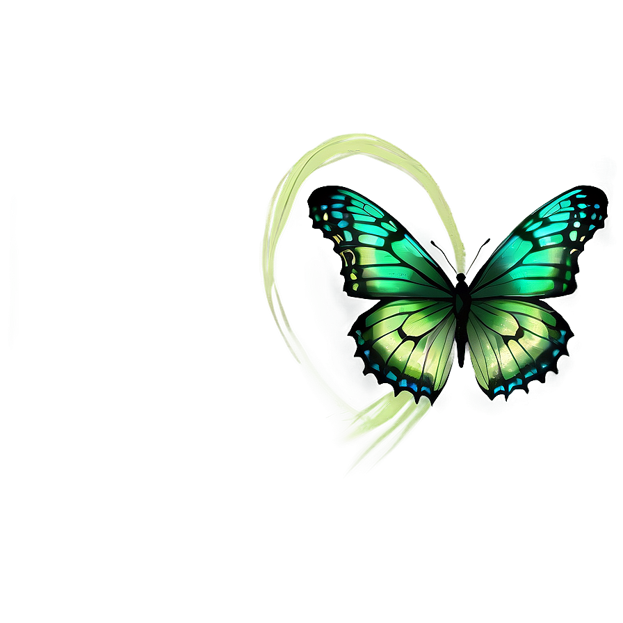 Transparent Green Butterfly Drawing Png 06202024