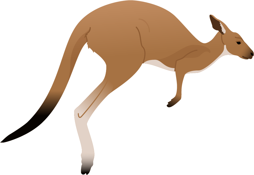 Transparent Kangaroo Clip Art - Kangaroo Clipart, HD Png Download PNG with transparent background