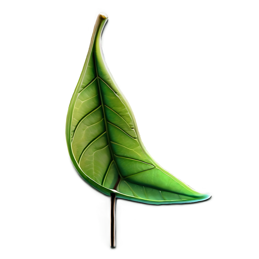 Transparent Leaf Png Eow84