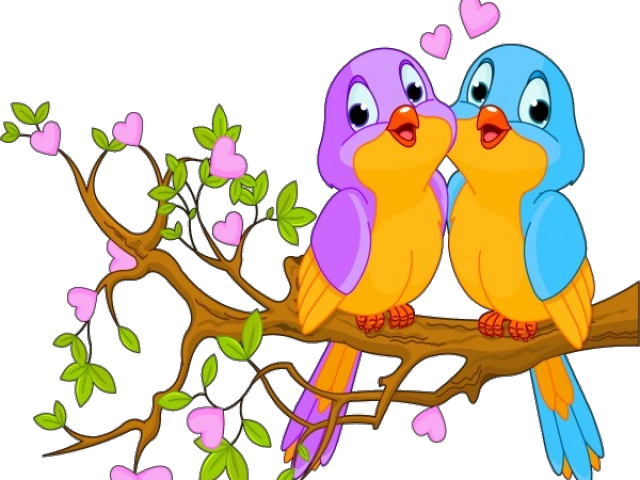 Transparent Love Birds Png - Love Birds Images Png, Png Download PNG with transparent background