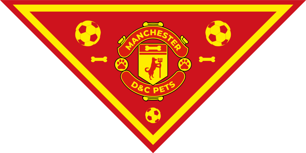 Transparent Manchester United Png - Manchester United F.c., Png Download PNG with transparent background