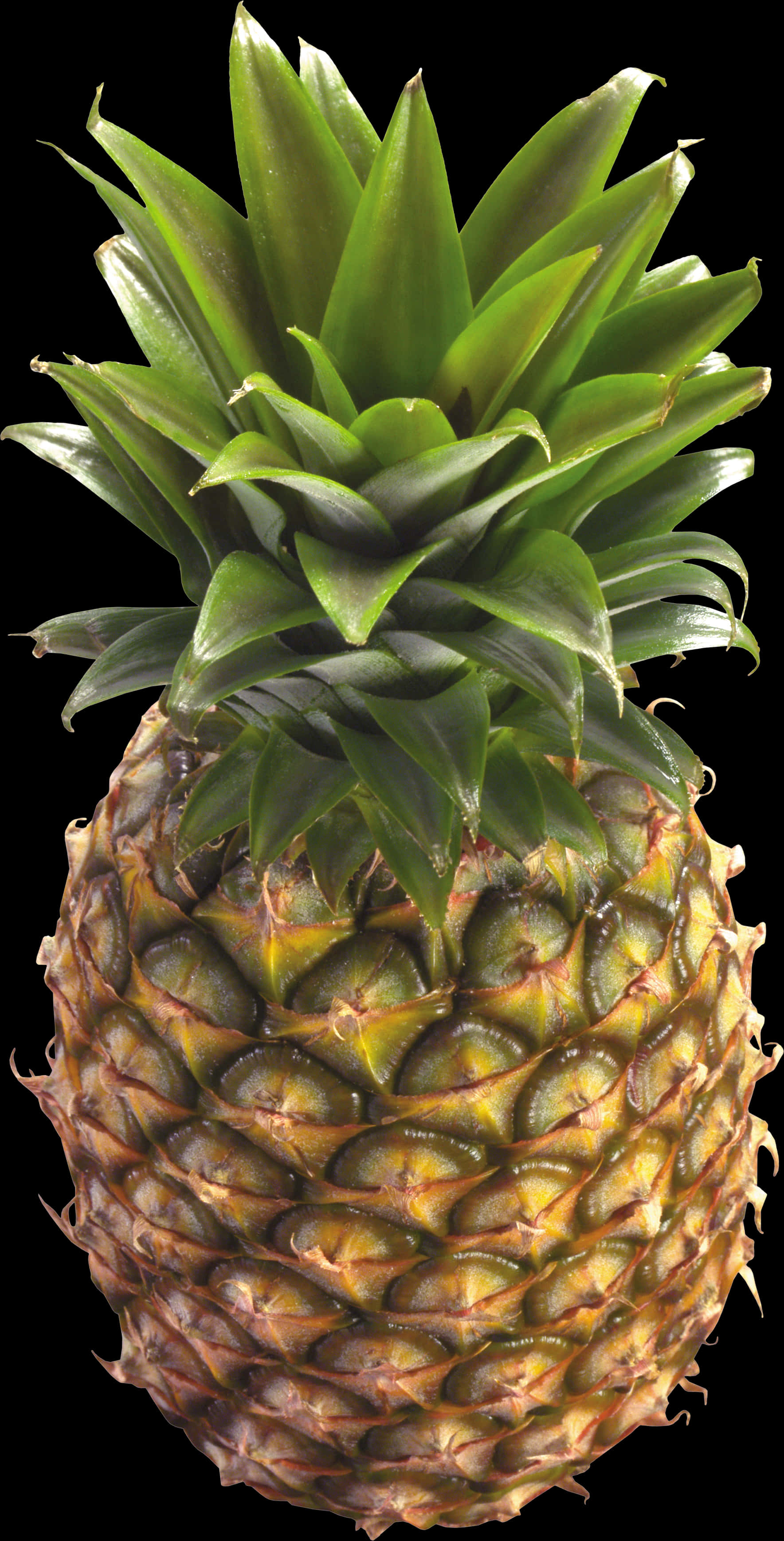 Transparent Pineapple Png, Png Download PNG with transparent background