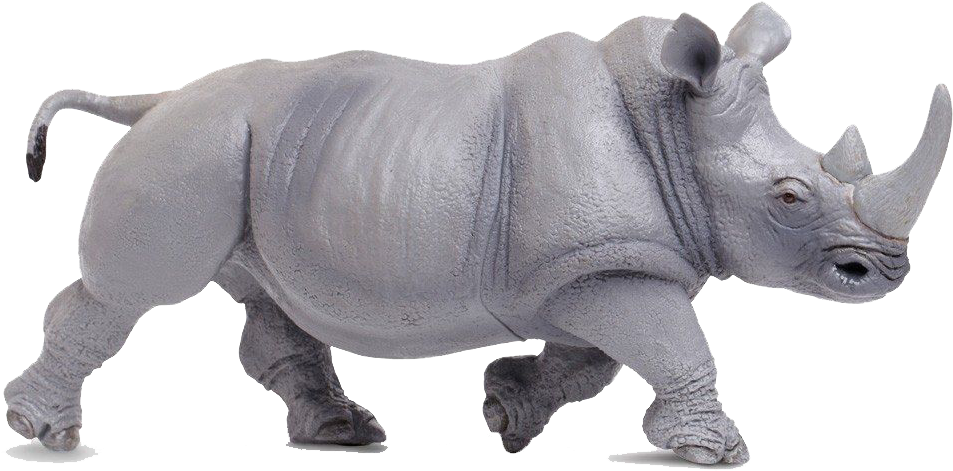 Transparent Rhinoceros Png - Rhinoceros, Png Download PNG with transparent background