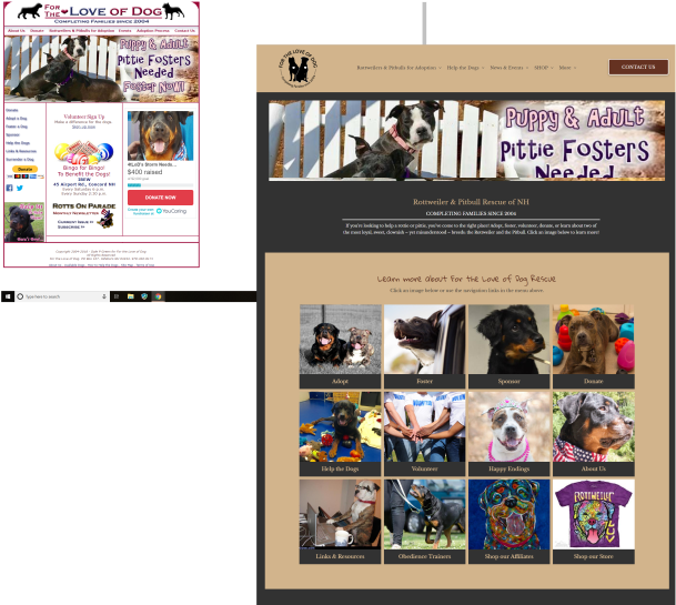 Transparent Rottweiler Png - Online Advertising, Png Download PNG with transparent background