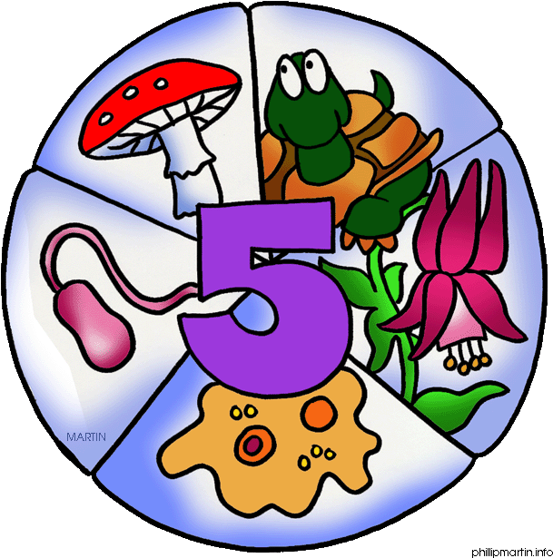 Transparent Science Clipart - Five Kingdoms Science, HD Png Download PNG with transparent background