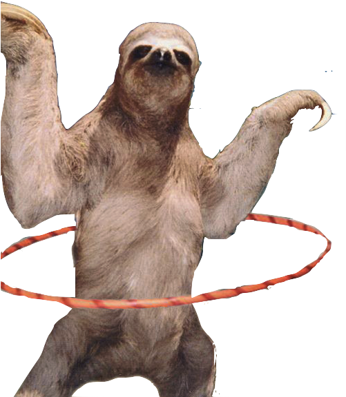 Transparent Sloth - Sloth At The Beach, HD Png Download PNG with transparent background