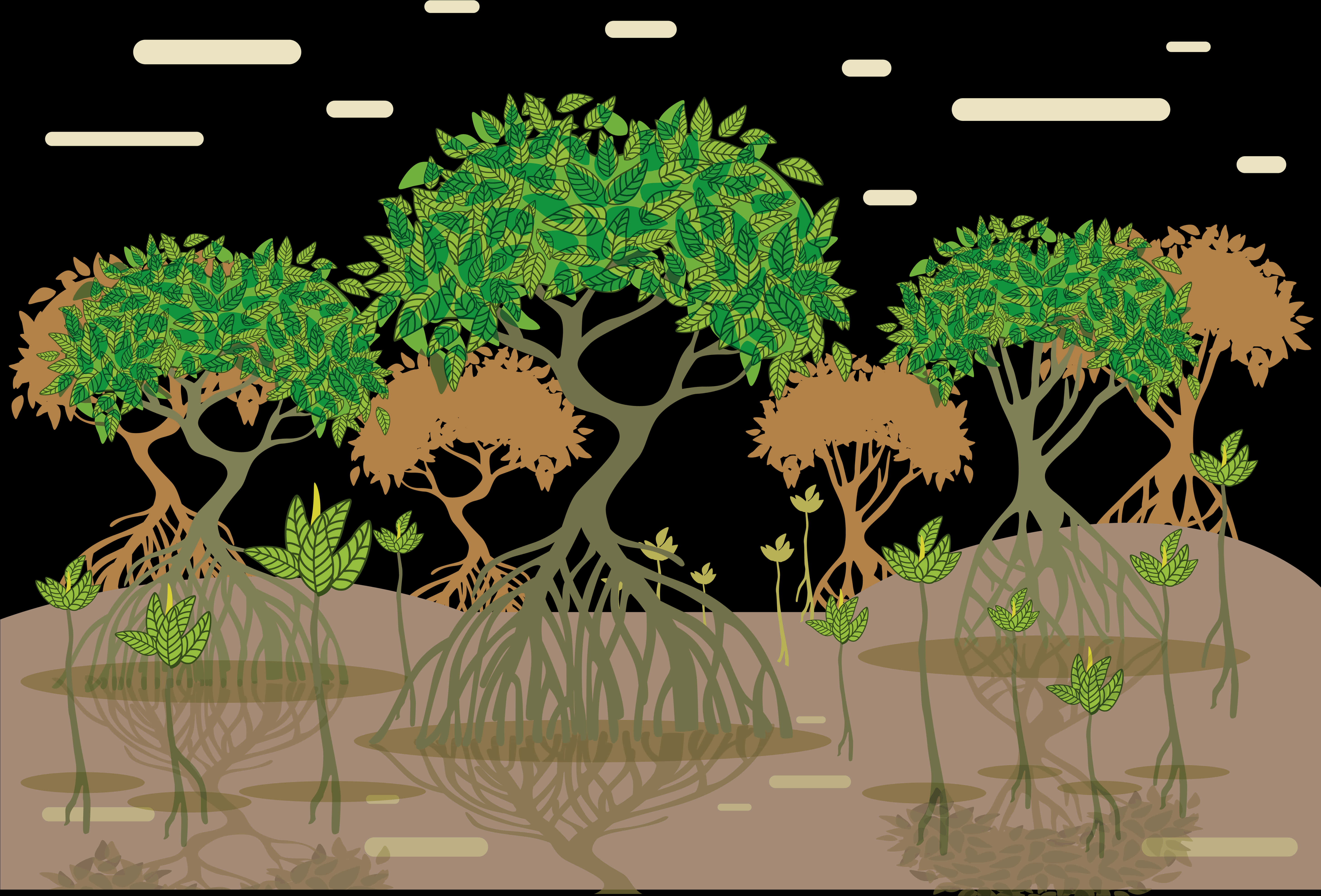 Transparent Tree Root Png - Mangrove Forest Art, Png Download PNG with transparent background
