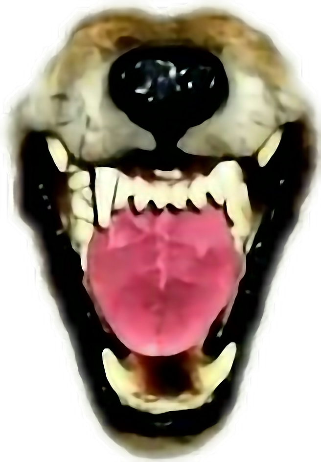 Transparent Wolf Teeth Clipart - Werewolf Transparent Fangs Png, Png Download PNG with transparent background