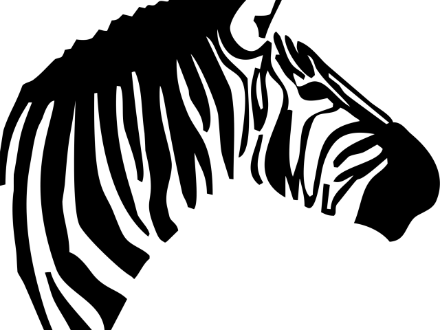 Transparent Zebra Head Png, Png Download PNG with transparent background