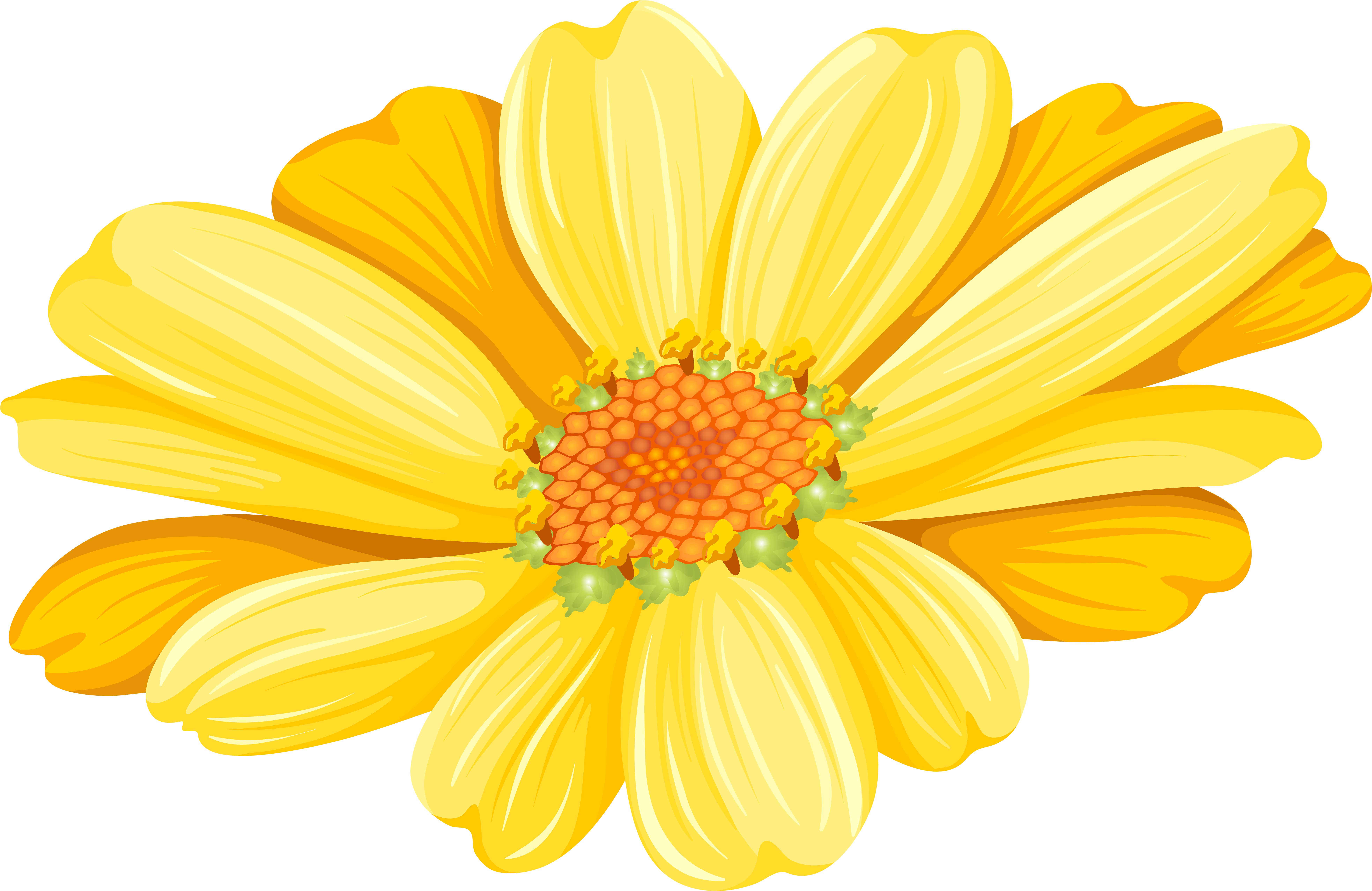 Transvaal Daisy Chrysanthemum Argyranthemum Frutescens - Chrysanthemum, HD Png Download PNG with transparent background