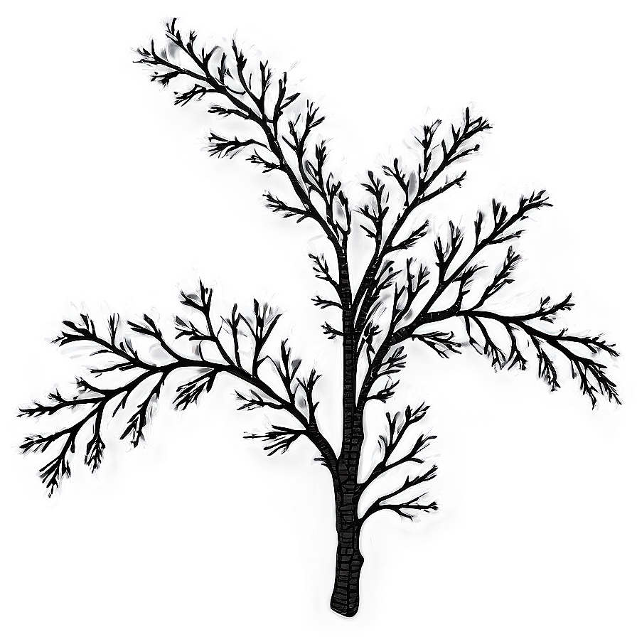 Tree Branch Clip Art Png 67