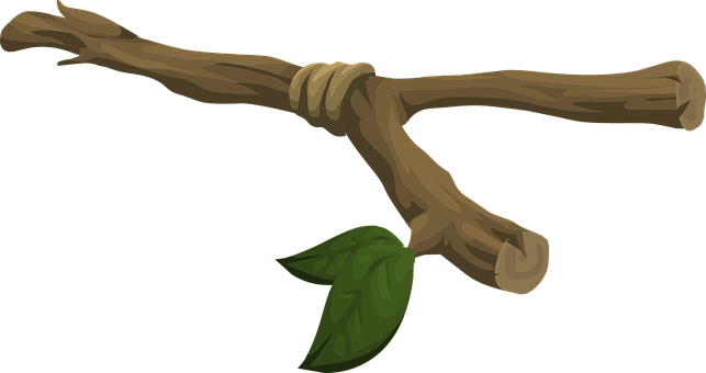 Tree Branch Single Leaf PNG with transparent background