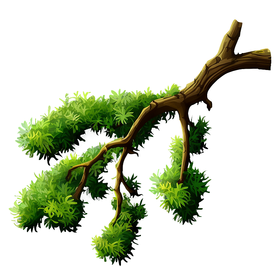 Tree Branch With Hanging Moss Png Xgu28