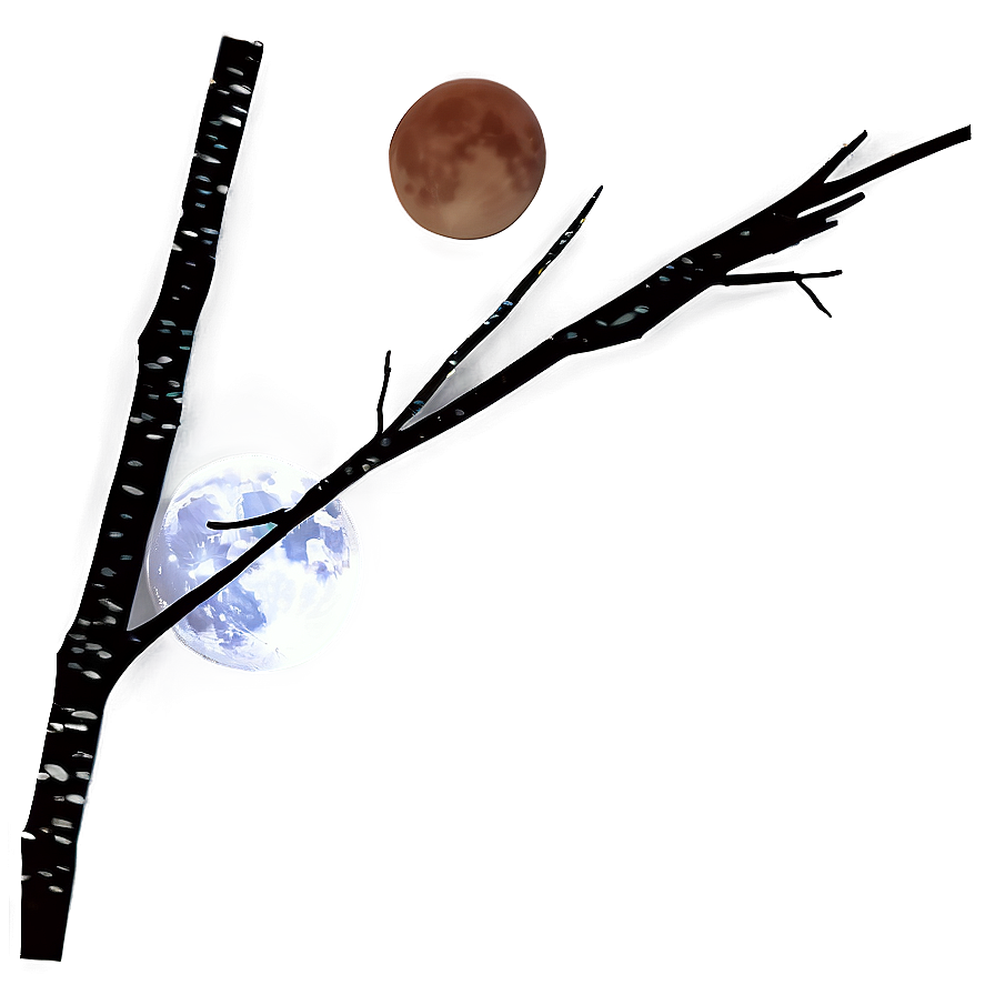 Tree Branches And Moon Png Bne