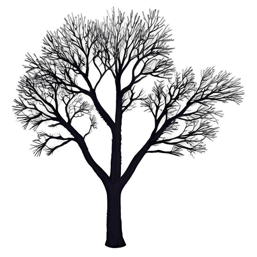 Tree Branches At Night Png Cvs21