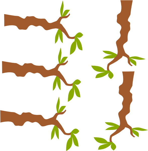 Tree Branches Sprouting Leaves Illustration PNG with transparent background