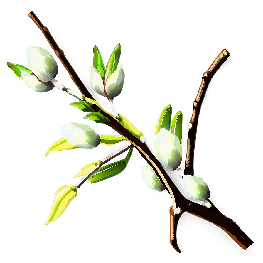 Tree Branches With Buds Png 06282024