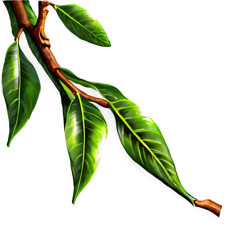 Tree Branches With Leaves Png 06282024